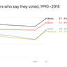 Image describing 8. Why minority voter participation matters