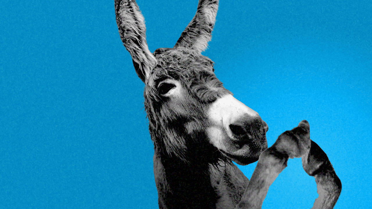 Scoop: Dems quietly boost spoilers in key House races