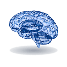 Newsletter branding image