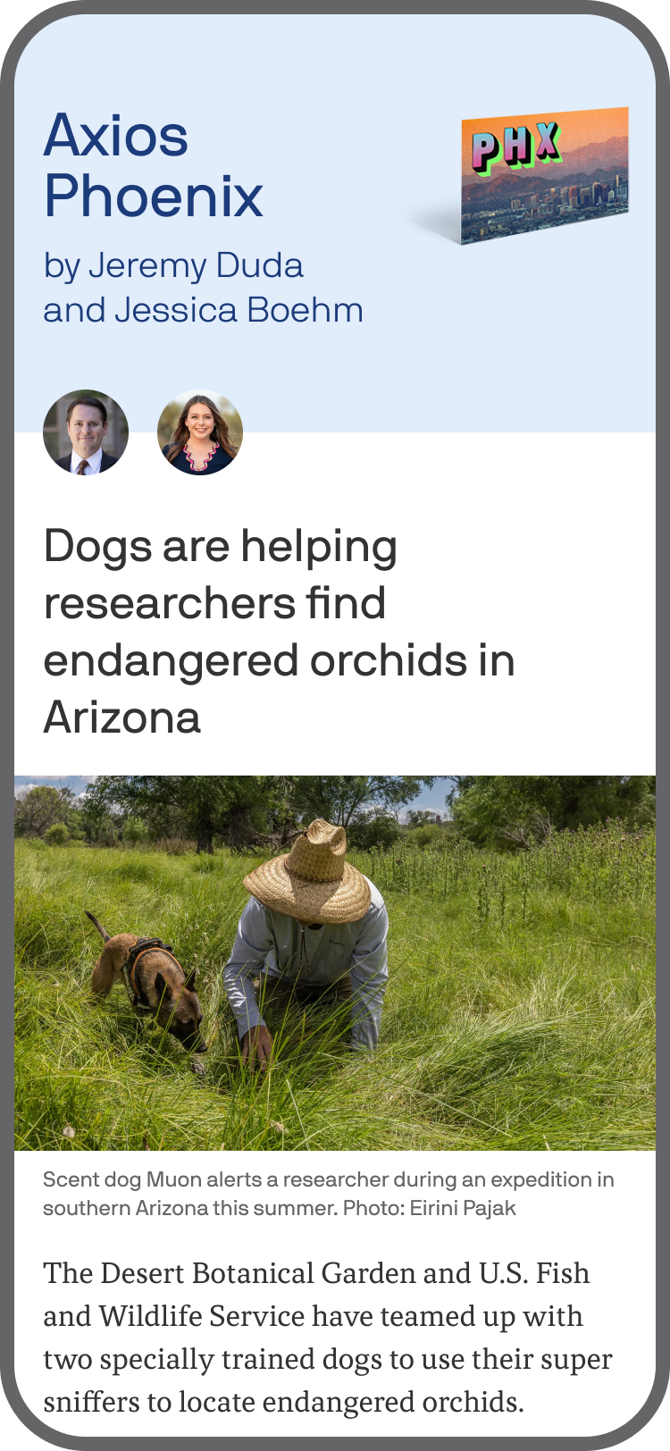 smartphone displaying an Axios Phoenix newsletter