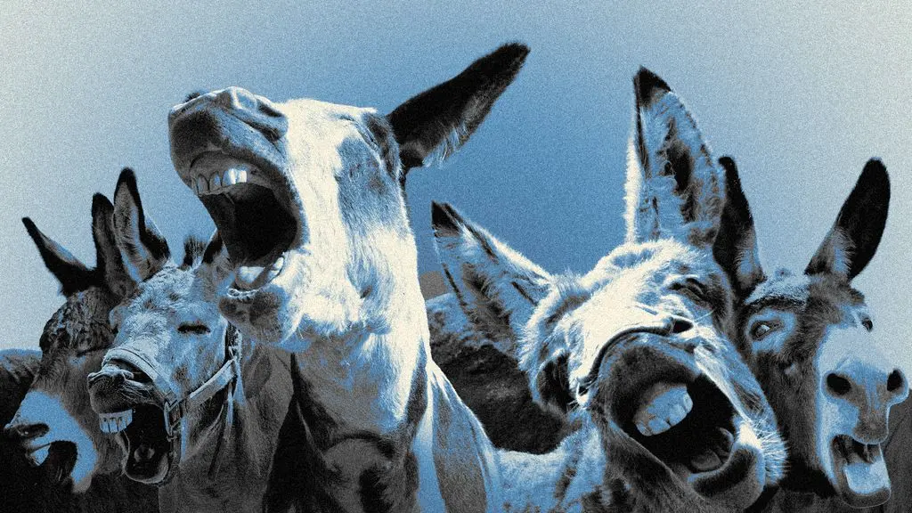 Democrats' midterm civil war is costing the party a fortune