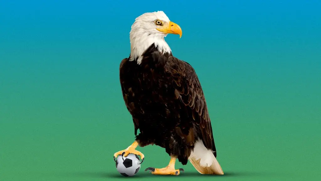 World Cup tourists discover America — and delight us all